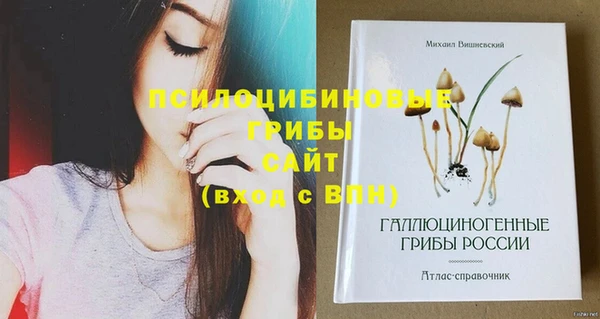 тгк Михайловка