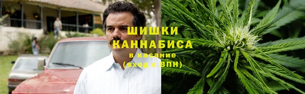 ПСИЛОЦИБИНОВЫЕ ГРИБЫ Михайловск