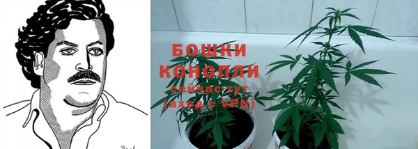 2c-b Михайлов