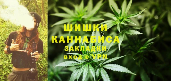 2c-b Михайлов