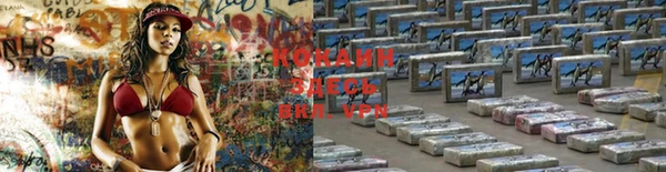 ПСИЛОЦИБИНОВЫЕ ГРИБЫ Михайловск